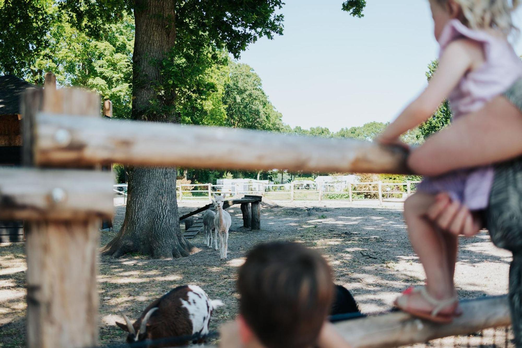 Sfeervolle Blokhut Met Fijne Buitenruimte @ Veluwe Epe Dış mekan fotoğraf